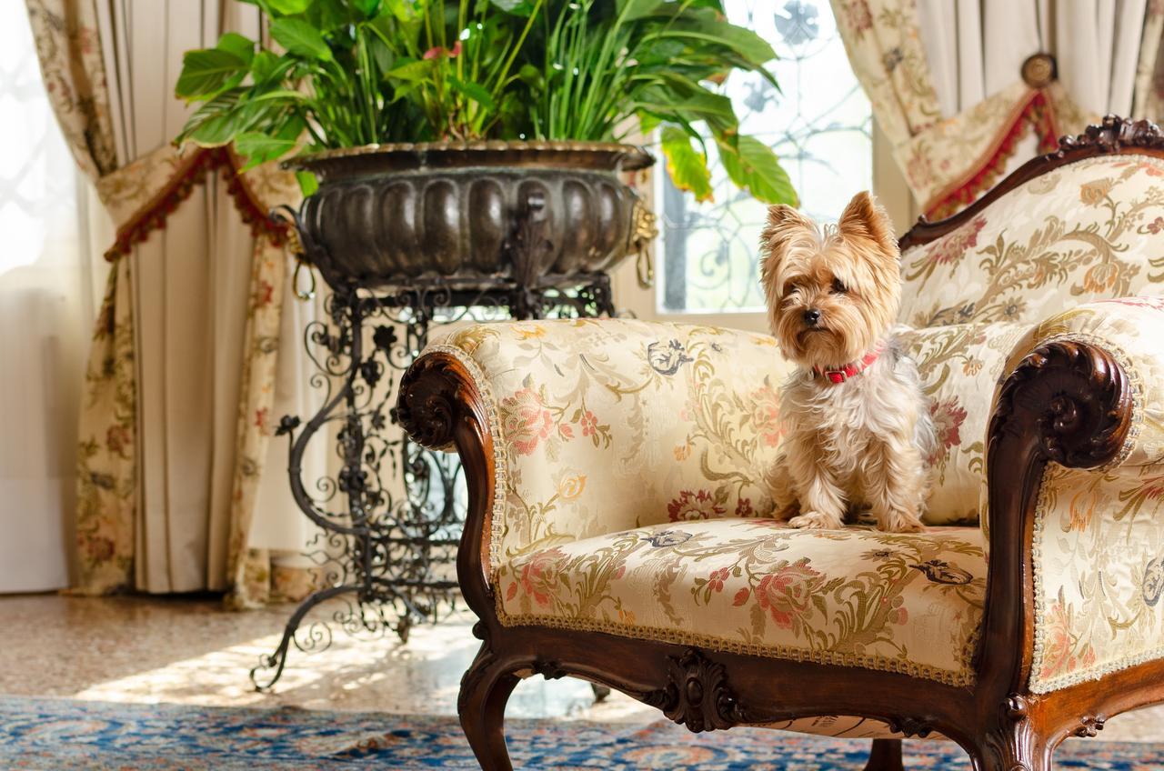 Villa Barbaro Gianese Silea Екстериор снимка